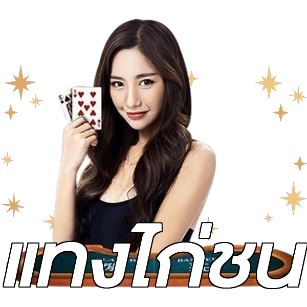 แทงไก่ชน